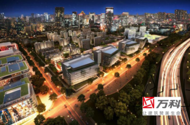 BIM Implementation Case Study: Shanghai Vanke Shiyi District-BIM WORLD