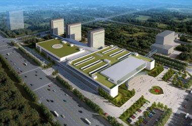 Langfang Central Hospital Construction Project-BIM WORLD