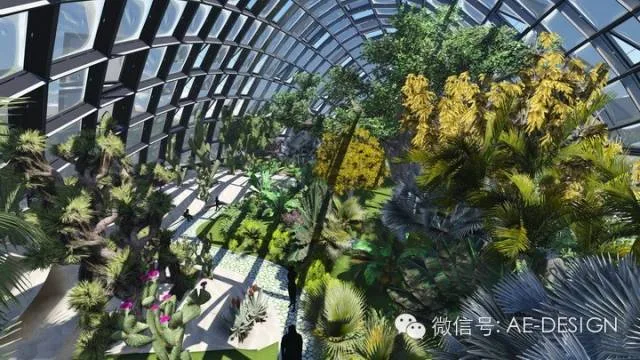 BIM Design of Vanke Dongguan Tropical Rainforest Pavilion