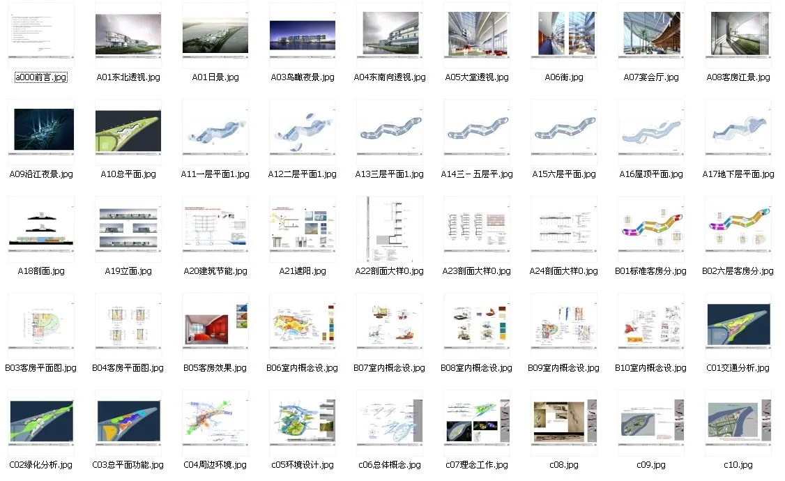 Architectural Design of Guangzhou International Bio Island Hotel (including proposal text, CAD, and design specifications)