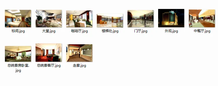 Construction drawings and renderings of ten star rated hotels