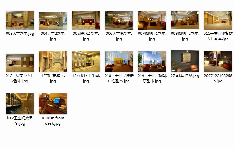 Construction drawings and renderings of ten star rated hotels
