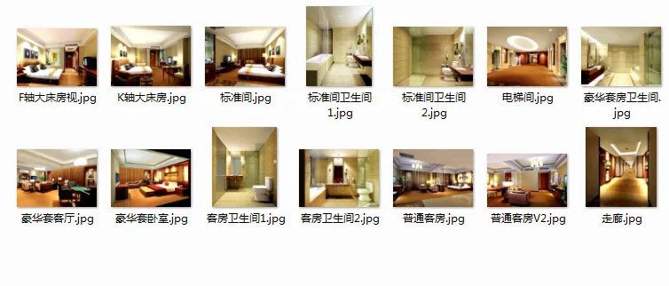 Construction drawings and renderings of ten star rated hotels