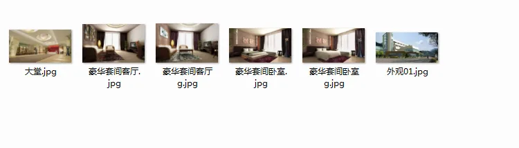 Construction drawings and renderings of ten star rated hotels