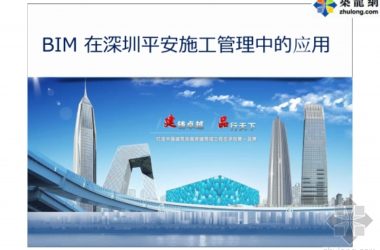 Comprehensive Guide to BIM Technology Application in Shenzhen Ping An Construction Management with Visuals and Explanations-BIM WORLD