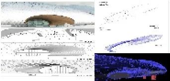BIM Application in the Sports Swimming Pool Project of Hangzhou Olympic Sports Center