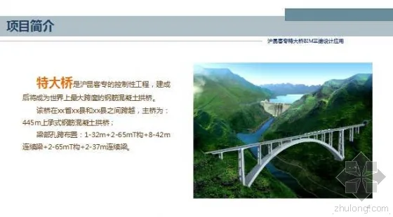 Application of BIM 3D Design for Shanghai Kunming Passenger Dedicated Bridge