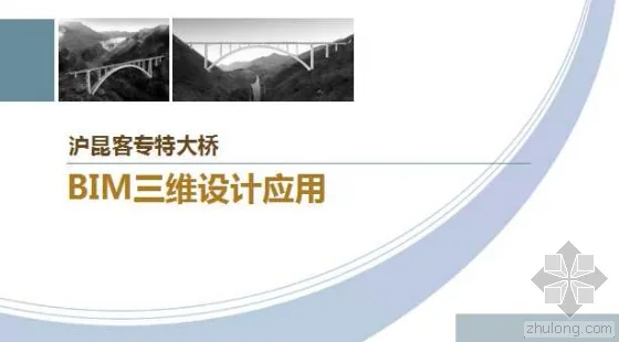 Application of BIM 3D Design for Shanghai Kunming Passenger Dedicated Bridge