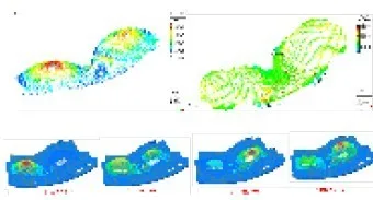 BIM Application in the Sports Swimming Pool Project of Hangzhou Olympic Sports Center