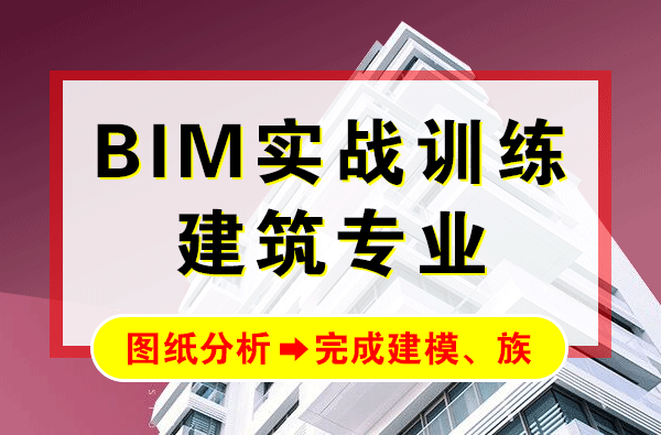 Professional BIM Architecture Design: Practical Revit Training and Multi-Story Building Video Tutorials for Rapid Mastery