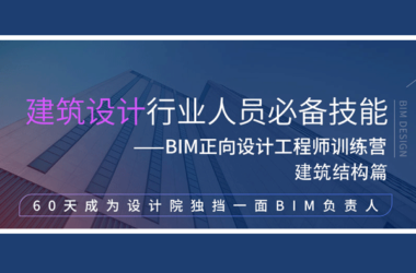 Intermediate BIM Training: Revit Architecture Design and Family Creation Tutorial-BIM WORLD