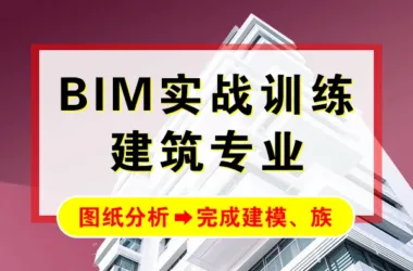 Professional BIM Architecture Design: Practical Revit Training and Multi-Story Building Video Tutorials for Rapid Mastery-BIM WORLD