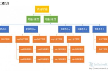 Organizational Structure of a BIM Consulting Firm-BIM WORLD