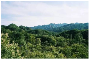 Four Old Friends Transform 2,500-Acre Valley into a Stunning Peach Blossom Garden Using Shipping Containers-BIM WORLD