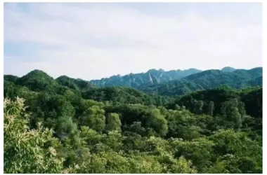 Four Old Friends Transform 2,500-Acre Valley into a Stunning Peach Blossom Garden Using Shipping Containers-BIM WORLD