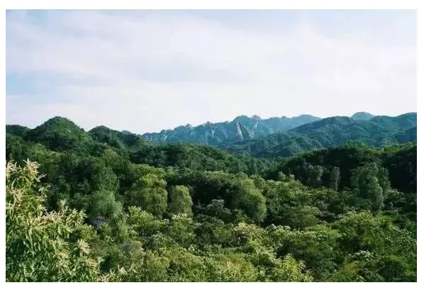 Prefabricated | Four old boys rent 2500 acres of valley and build a peach blossom garden with shipping containers