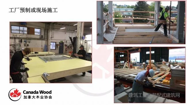 Paul Newman: The Potential Application of Wooden Structure Technology in Prefabricated Buildings