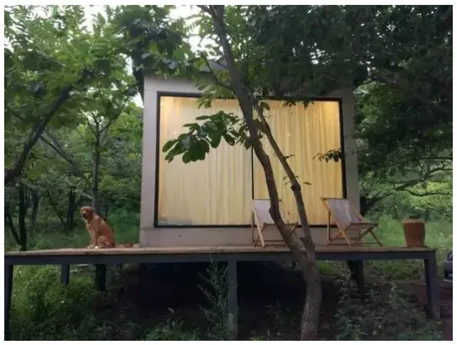 Prefabricated | Four old boys rent 2500 acres of valley and build a peach blossom garden with shipping containers