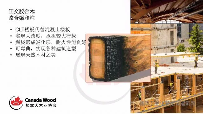 Paul Newman: The Potential Application of Wooden Structure Technology in Prefabricated Buildings
