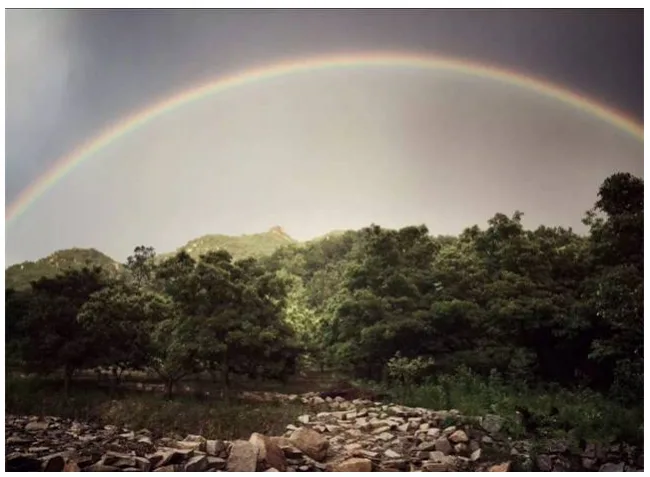 Prefabricated | Four old boys rent 2500 acres of valley and build a peach blossom garden with shipping containers