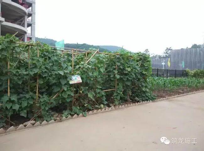 Site greening
