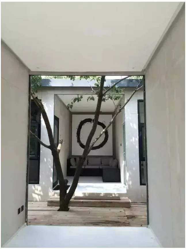 Prefabricated | Four old boys rent 2500 acres of valley and build a peach blossom garden with shipping containers