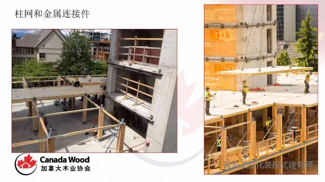 Paul Newman: The Potential Application of Wooden Structure Technology in Prefabricated Buildings