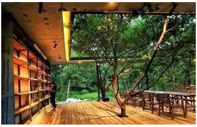 Prefabricated | Four old boys rent 2500 acres of valley and build a peach blossom garden with shipping containers