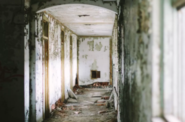 Preventing Alkali Efflorescence in Interior Walls of Prefabricated Buildings: Analysis and Solutions-BIM WORLD
