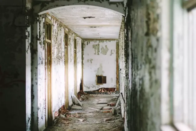 Analysis and Prevention of Alkali Return in Interior Walls of Prefabricated Buildings