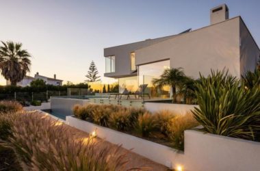BIM Architecture: Pure White Mediterranean Room with Natural Organic Design by STUDIOARTE Architects-BIM WORLD