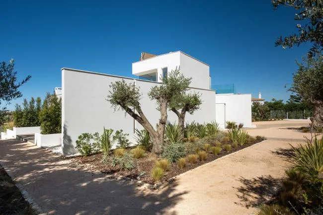BIM Architecture | Natural Organic, Pure White Mediterranean Room/STUDIOARTE Architects