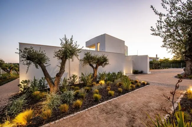 BIM Architecture | Natural Organic, Pure White Mediterranean Room/STUDIOARTE Architects