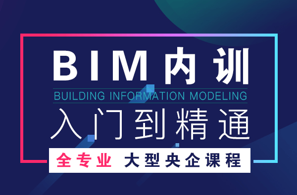 Comprehensive Revit BIM Training for Large Construction Teams: Architecture, Structure, MEP, and Rapid Skill Development