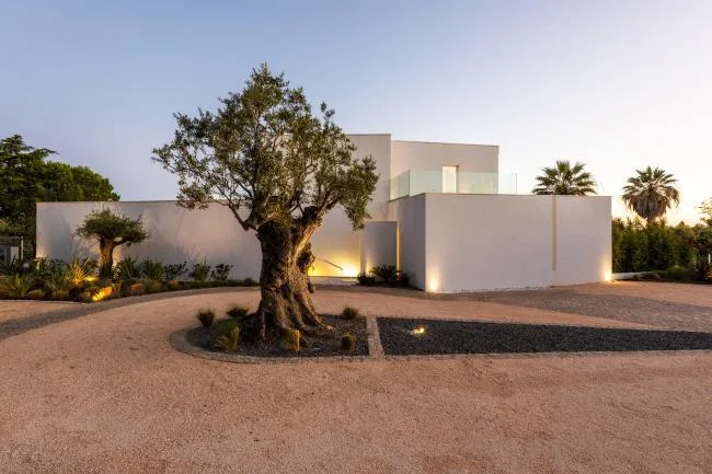 BIM Architecture | Natural Organic, Pure White Mediterranean Room/STUDIOARTE Architects