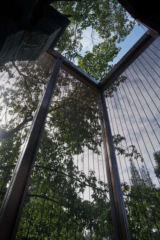 BIM Architecture | Chengdu Yiyuan Xiaozhu/Shanghai Dajiang Architectural Design Firm
