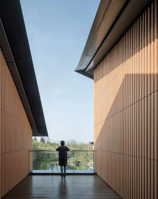 BIM Architecture | Renheng Nanjing Phoenix Mountain Residence Hot Spring Club/Shanghai Zhongfang Architectural Design