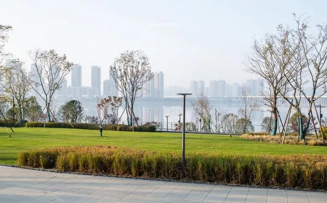 BIM Architecture | Tencent Wuhan R&D Center/Qicheng Design