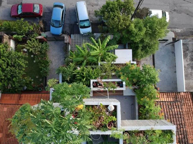 BIM Architecture | Malaysia Plant Box Room/Formzero