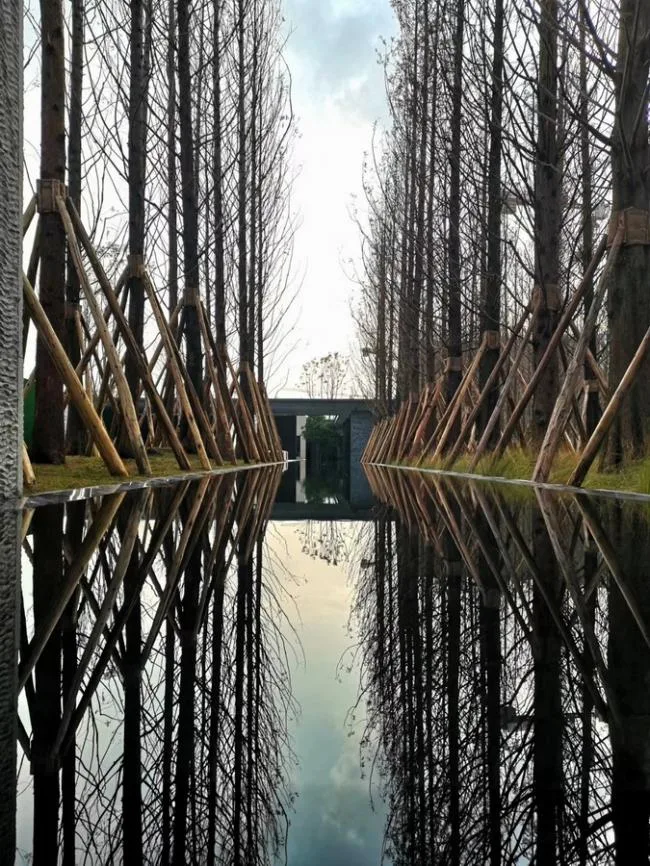 BIM Architecture | Chongqing Vanke Jungle Park Sales Display Center/LWK+PARTNERS