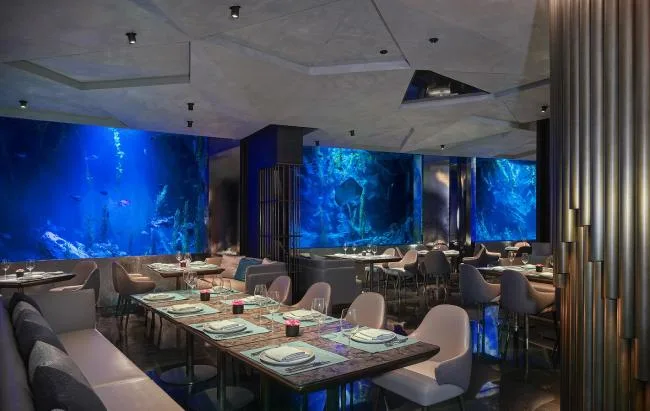 BIM Architecture | Interior Design of Shanghai Sheshan Shimao Shenkeng Intercontinental Hotel/CCD Spray Nose Port Zhengzhong Design Firm