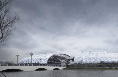BIM Architecture Integrated with National Geographic Information Governance Forum at Deqing Forever Venue by Zhejiang New Year's Eve School Architectural Design and Research Institute-BIM WORLD