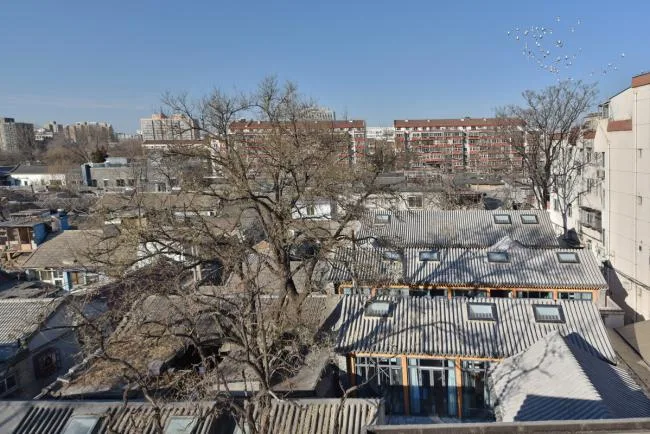 BIM Architecture | Exploration of Establishing a Long term Mechanism for the Renovation of Beijing Hutong Courtyard Houses/Clearing of Buildings