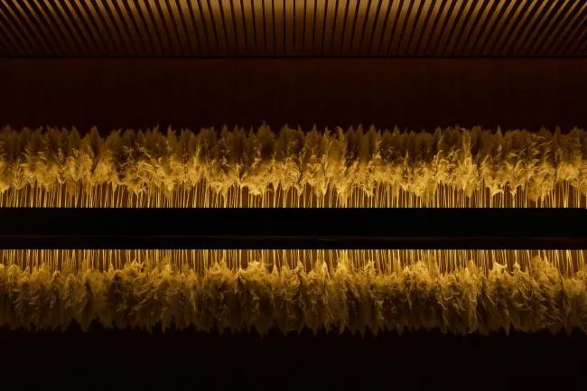 BIM Architecture | Jiyu SPA/Shanghai Black Bubble Design Team