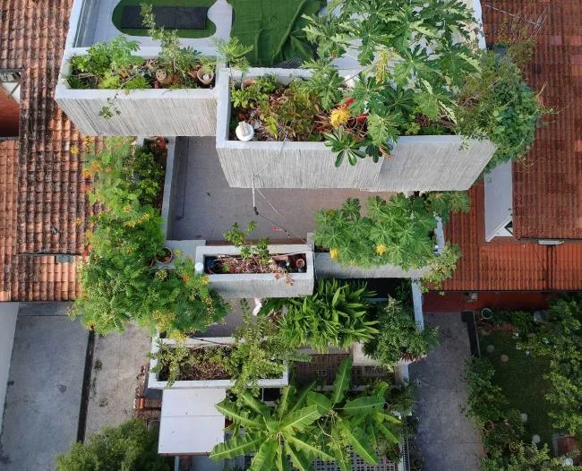 BIM Architecture | Malaysia Plant Box Room/Formzero