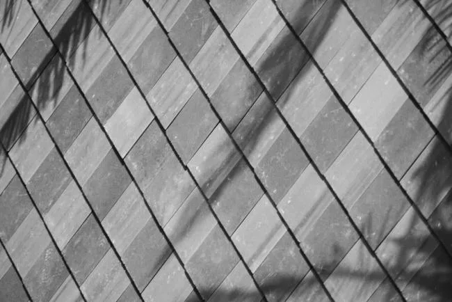BIM Architecture | Vanke Xishuangbanna Cultural Exhibition Hall/XAA Zhantao Studio