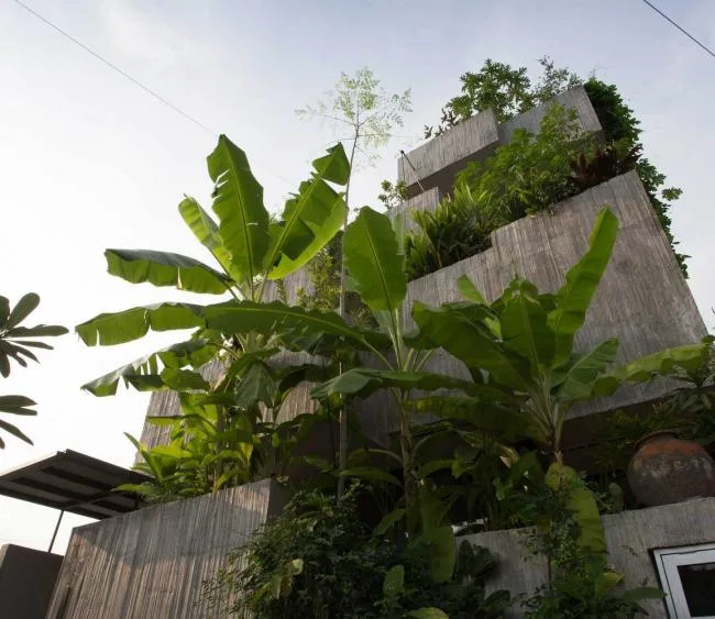 BIM Architecture | Malaysia Plant Box Room/Formzero