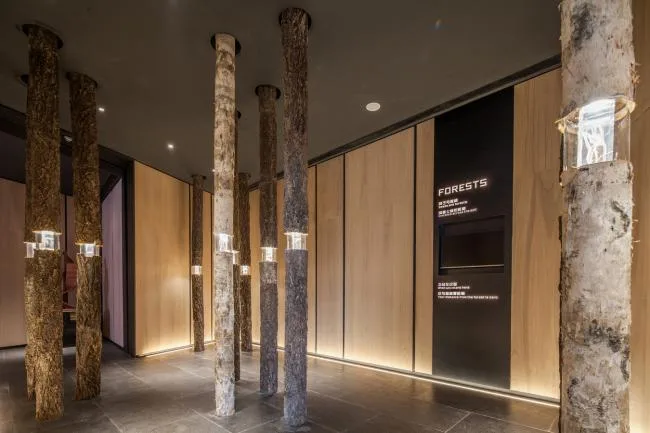 BIM Architecture | Chongqing Vanke Jungle Park Sales Display Center/LWK+PARTNERS