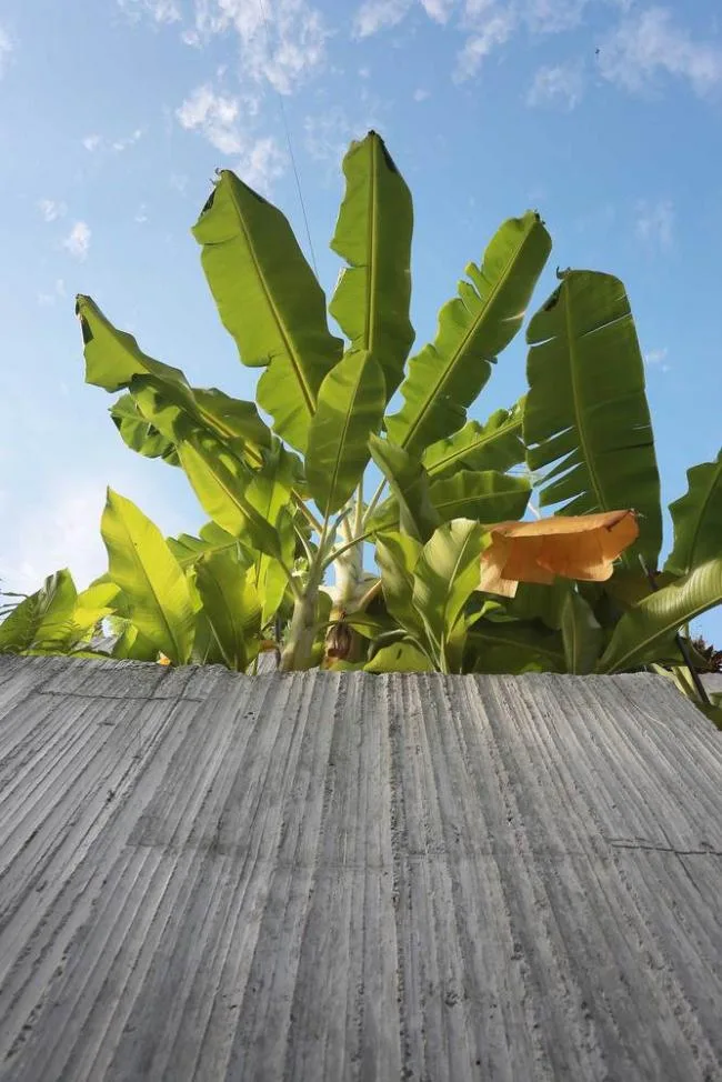 BIM Architecture | Malaysia Plant Box Room/Formzero