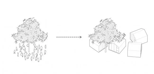 BIM Architecture | 80 ㎡ Campus Grass Map Library/Yuan Architects